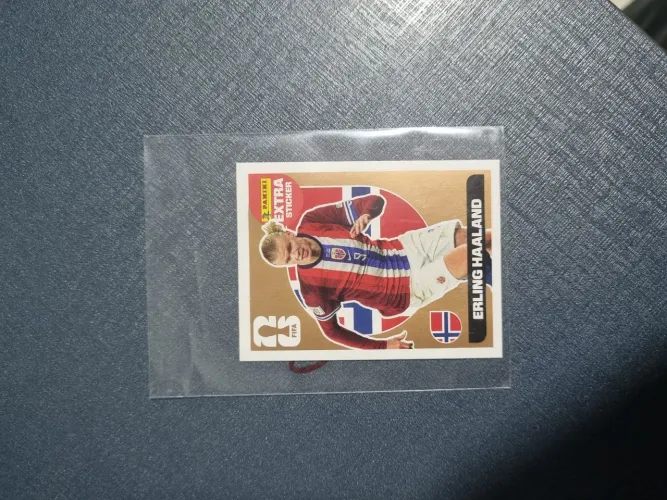 Haaland Bronze