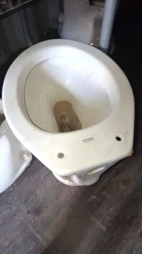 VASO SANITÁRIO
