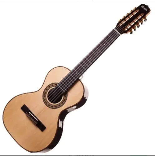 Viola Rozini Concertista