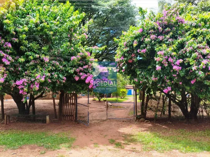 Chácara 3 quartos para Venda Balneário 29, São Carlos