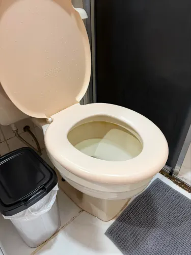 Vaso sanitário 