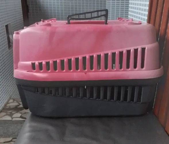 Casinha para Pet