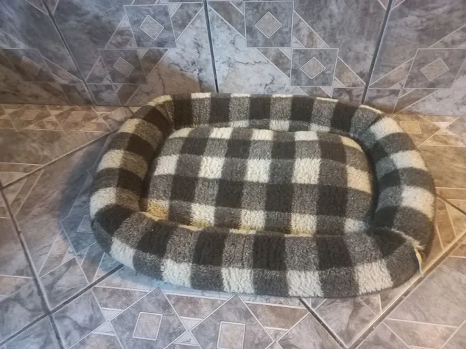 Cama para pet