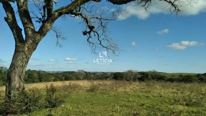 Compre 46.5 ha em Santa Maria