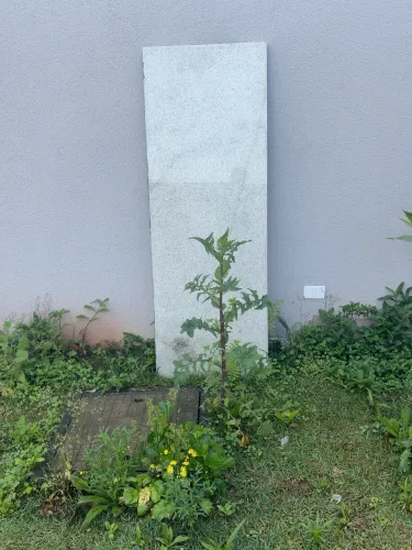 Pedra