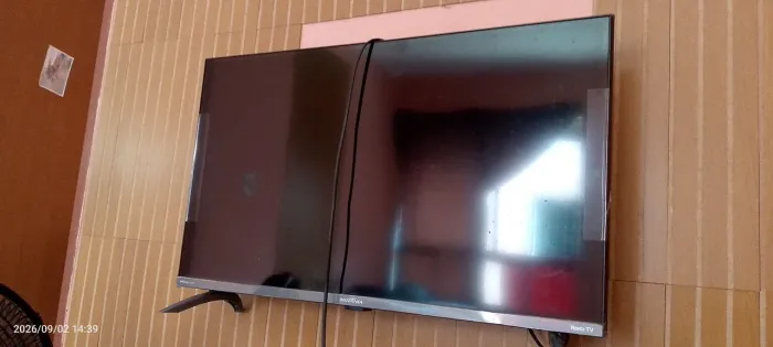 Televisão