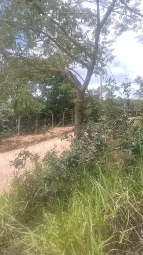 JABOTICATUBAS 1600M2 Documentação OK 4 km do Centro R$ 110.000,00