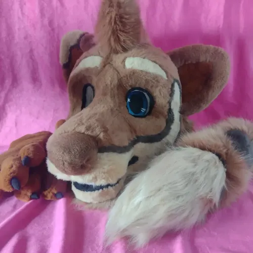 Fursuit
