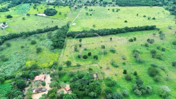 Sitio/Fazenda com 5 dormitórios para venda no bairro