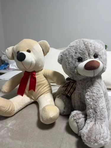 Urso de Pelúcia Grande (LEIA A DESCRIÇÃO)