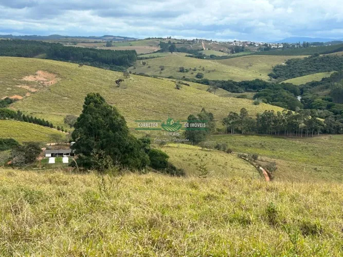 Fazenda com 46,85 ha, Fica na Divisa Andrelândia e São Vicente de Minas , Beira Rodovia ,