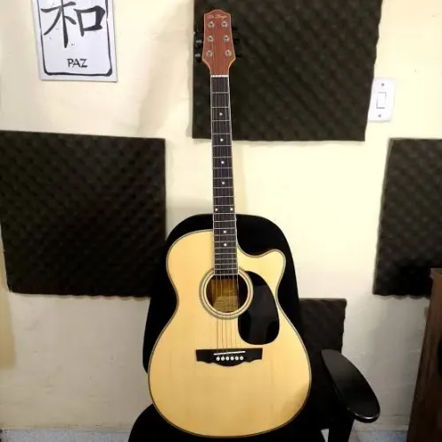 Violão DiGiorgio Folk101