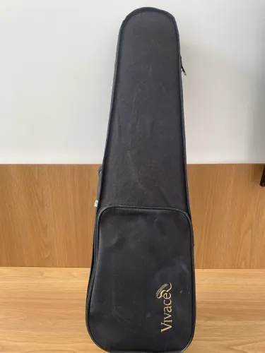 Violino vivace 4/4 
