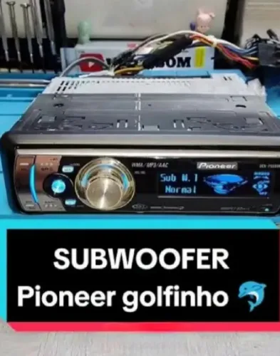 Paioner golfinho