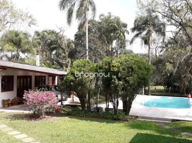 Sitio em Ratones