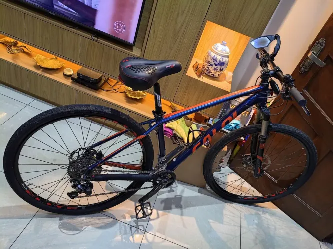 Bicicleta