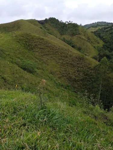 7 Alqueires em Rio Branco do Sul - Paraná