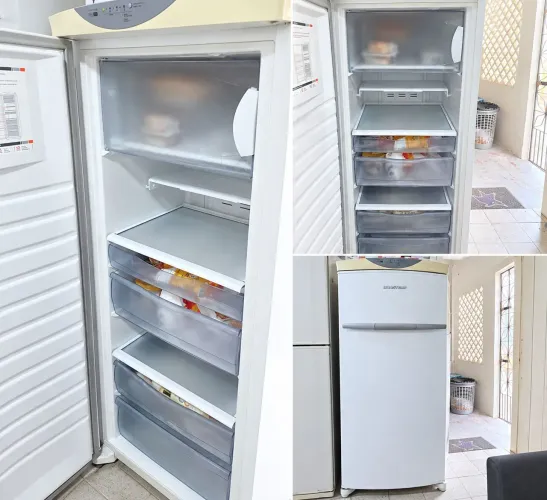 Freezer vertical