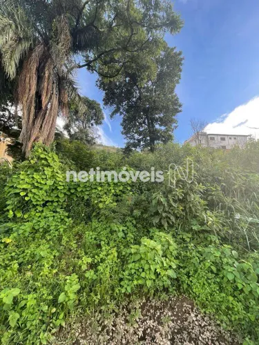 Venda Lote-Área-Terreno Taquaril Belo Horizonte