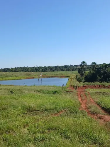 FAZENDA À VENDA APARECIDA DO TABOADO/MS