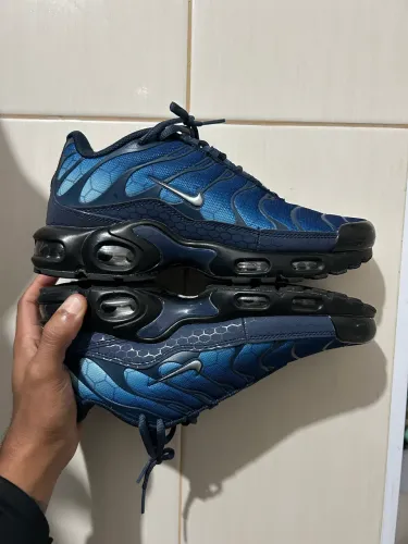 Nike Air Max Tn Plus DC1935-400