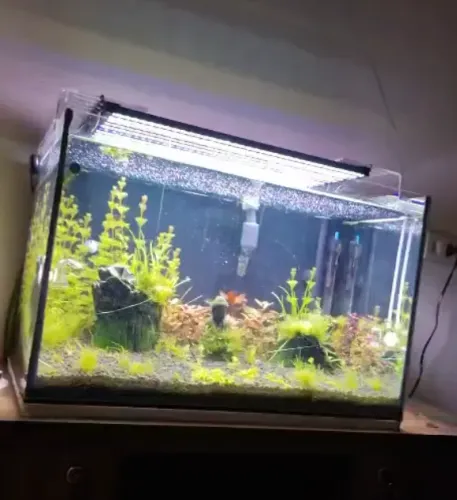 Aquário Completo - Pronto para Montar e Usar