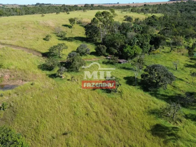 Chácara 4,38 hectares Nerópolis - GO