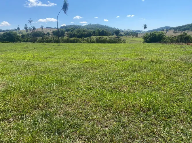 Chacara em Taquaral de Goias