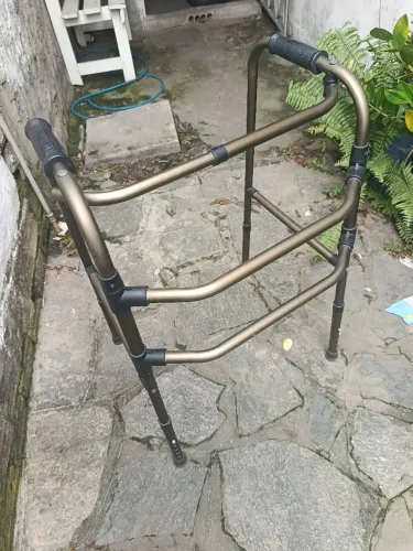 Anda já adulto , ZAP *