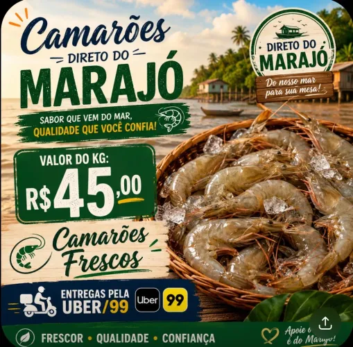 Venda de Camarões do Marajó