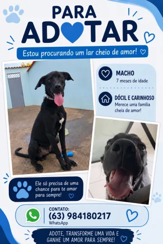 Para adoção