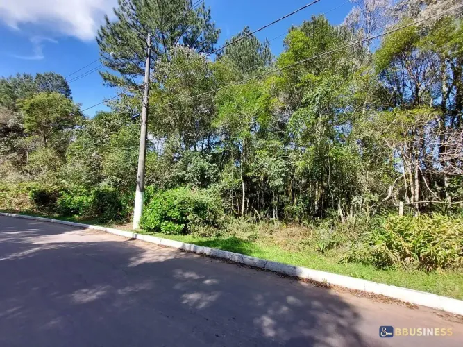 Terreno à venda, São Bernardo, São Francisco de Paula, RS