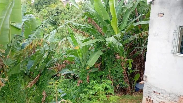 Terreno á venda em Mussurunga