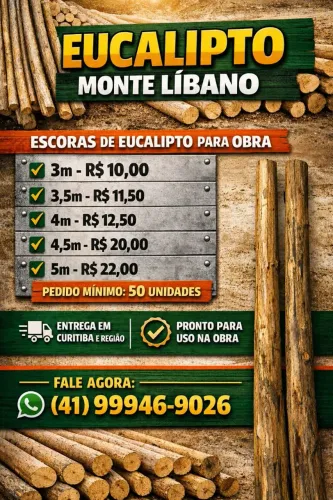 Escoras para lage