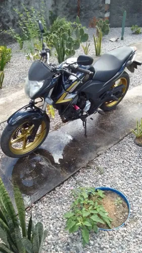 Moto honda Cb 300 ano 2013