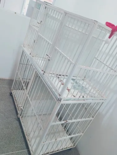 Gaiolas metálicas para clínica veterinária ou pet shop
