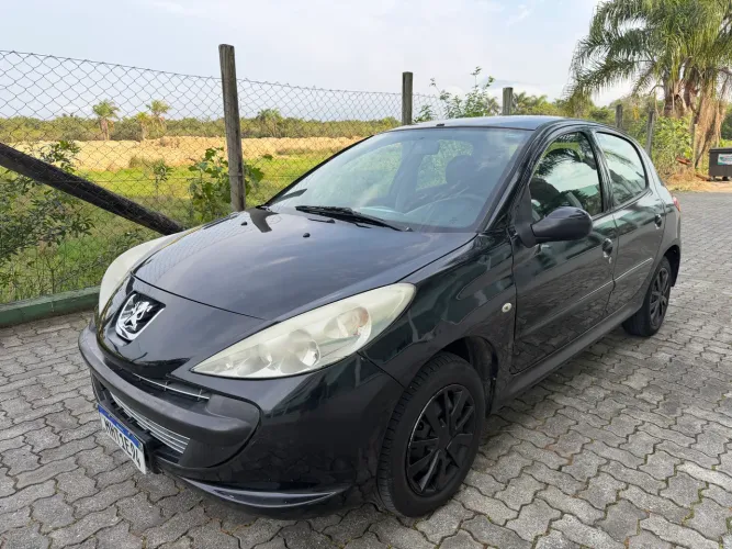 Peugeot 207 XR 1.4 Flex 8V 5P 2011