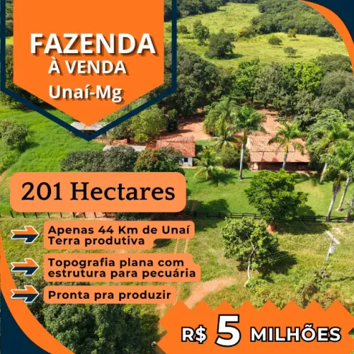 FAZENDA À VENDA - REGIÃO DE UNAÍ/MG