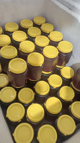 Mel direto do produtor 