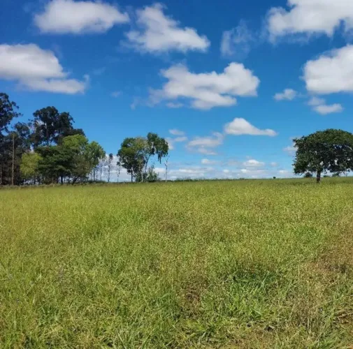 CHÁCARA 72.000 m² COM CÓRREGO, CASA E ENERGIA - GO-020 | BELA VISTA DE GOIÁS
