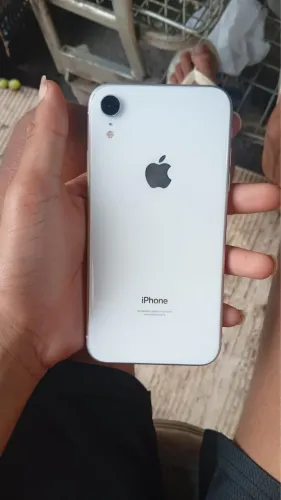 iPhone XR todo original bateria 67% Face ID ok 128gb câmeras ok 800 tem conversa no valor
