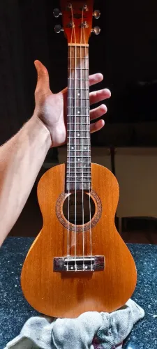 Ukulele Shelby Concert