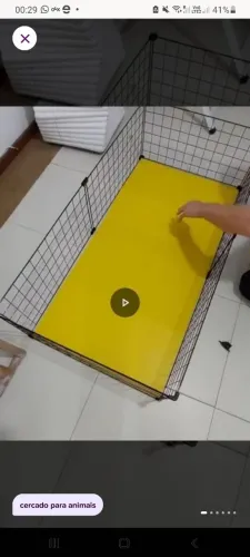 Cercado porquinho da Índia animais de estimação 