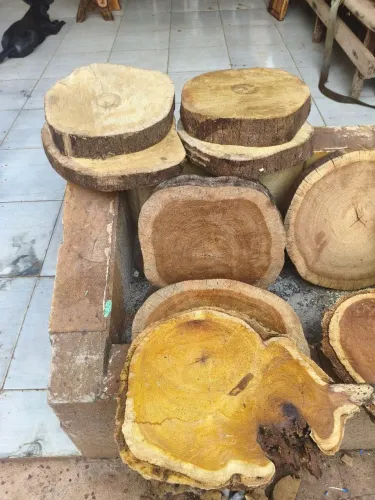 Vendo bolacha