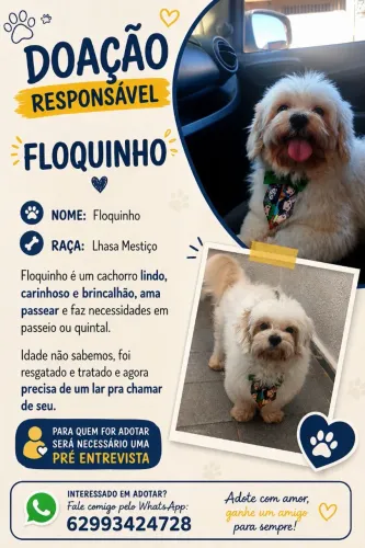 Cachorro para doação responde 