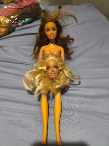 Lote Barbie Erika e cabeça Anelise