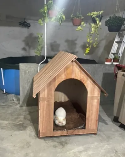 Casinha Cachorro porte grande n6