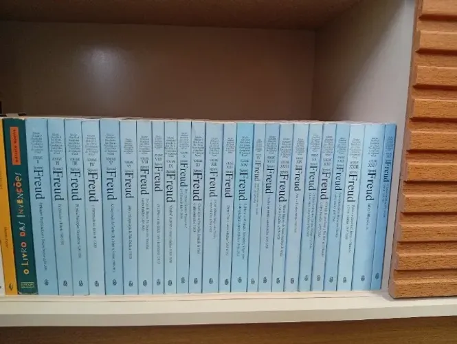 Obras Completas de Sigmund Freud 24 volumes