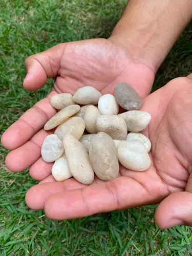 Seixo lavado para jardin