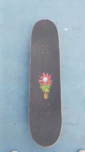Skate Completo Semi-Novo 
